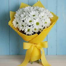 Букет цветов из:  Хризантемы в Новоаганске