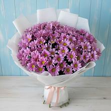 Букет цветов из:  Хризантемы в Новоаганске