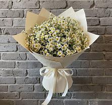 Букет цветов из:  Ромашки #REPLACE_PRED# Новоаганске