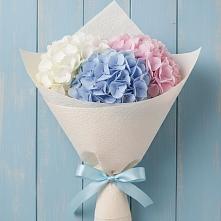 Букет цветов из:  Гортензия в Новоаганске