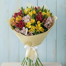 Букет цветов из:  Альстромерии в Новоаганске