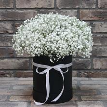 Цветочная композиция из Гипсофила в шляпной коробке в Новоаганске